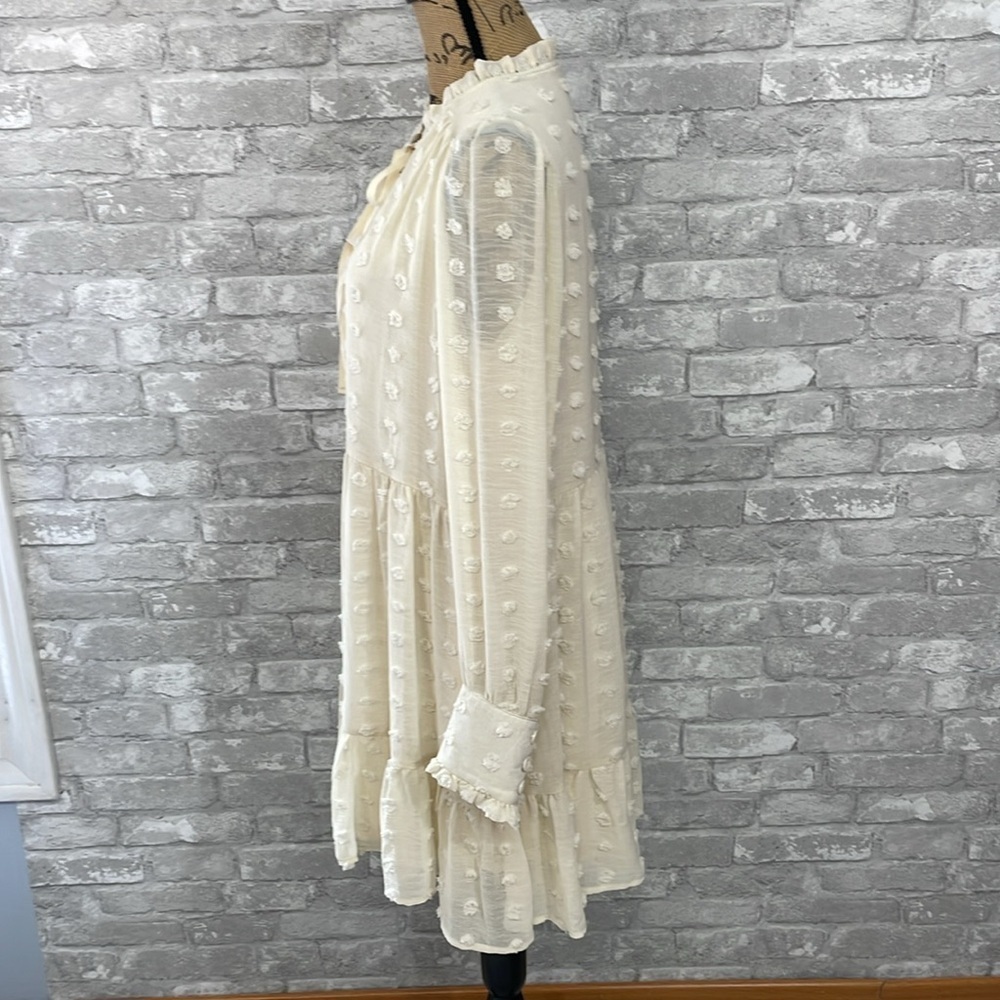 Listicle Cream Swiss Dot Mini Dress - Picture 4 of 9
